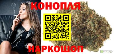 Альфа ПВП Пыть-Ях