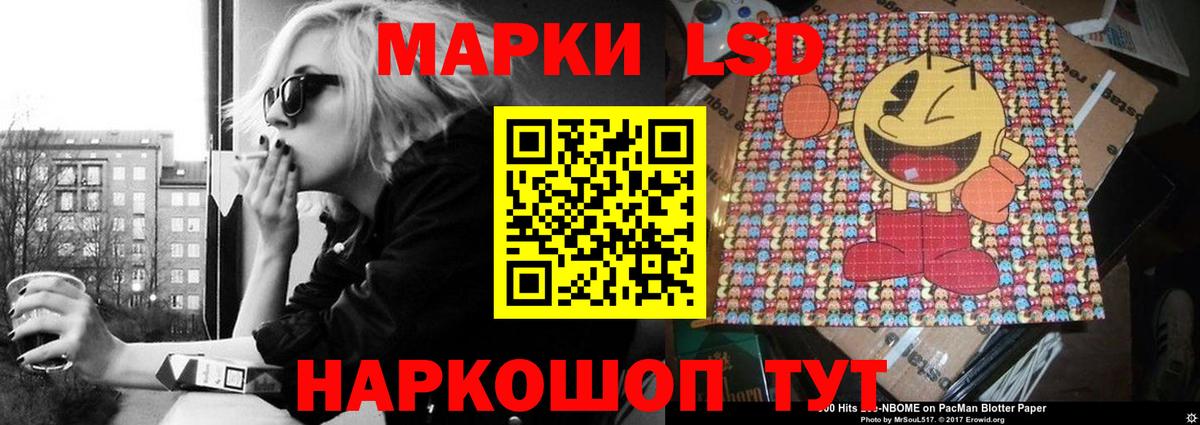 Псилоцибиновые грибы Тамбов