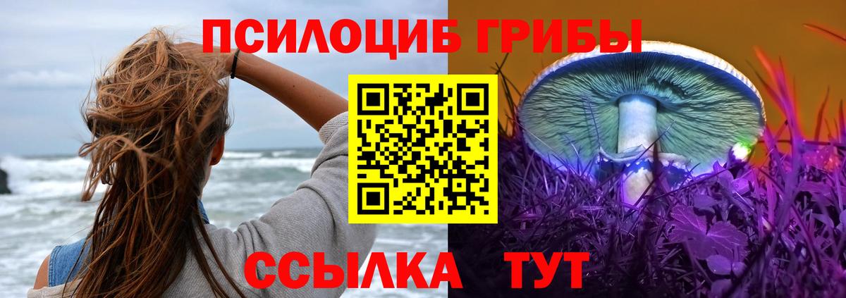 Тамбов  купить наркотики цена  Вход с VPN  Галлюциногенные грибы Cubensis  Галлюциногенные грибы Magic Shrooms 